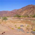 ai ais hot springs walk